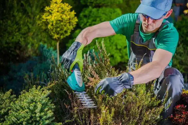 landscaping services Waynesboro